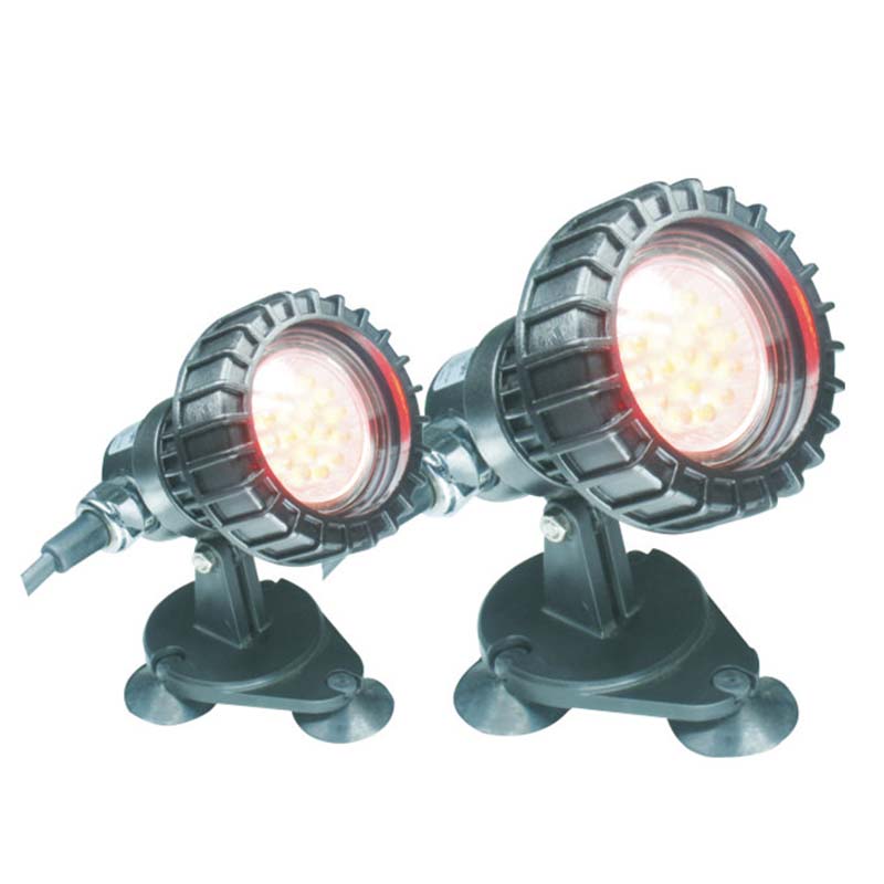 Pesce sopra la luce sommergibile dello stagno sotterraneo